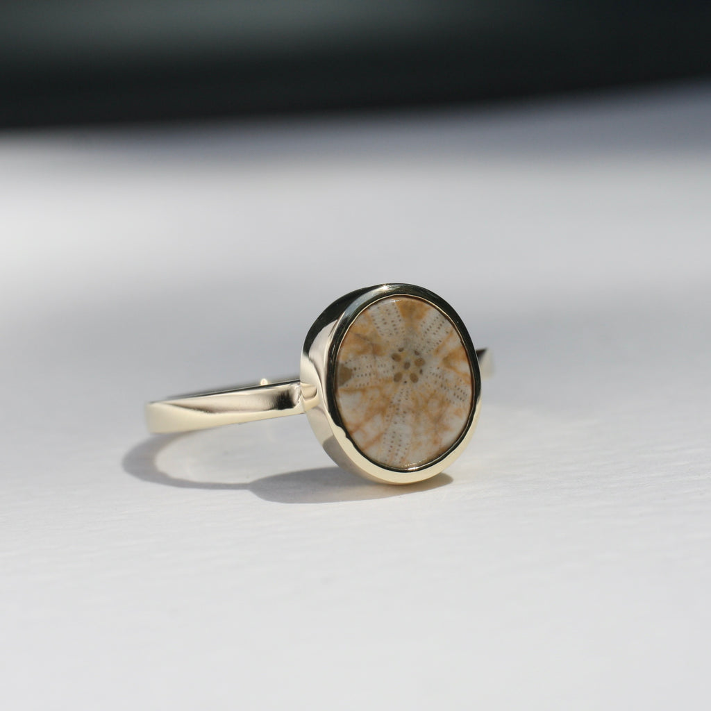 9ct Yellow Gold Fossilised Pansy Shell Ring (Edition 3)