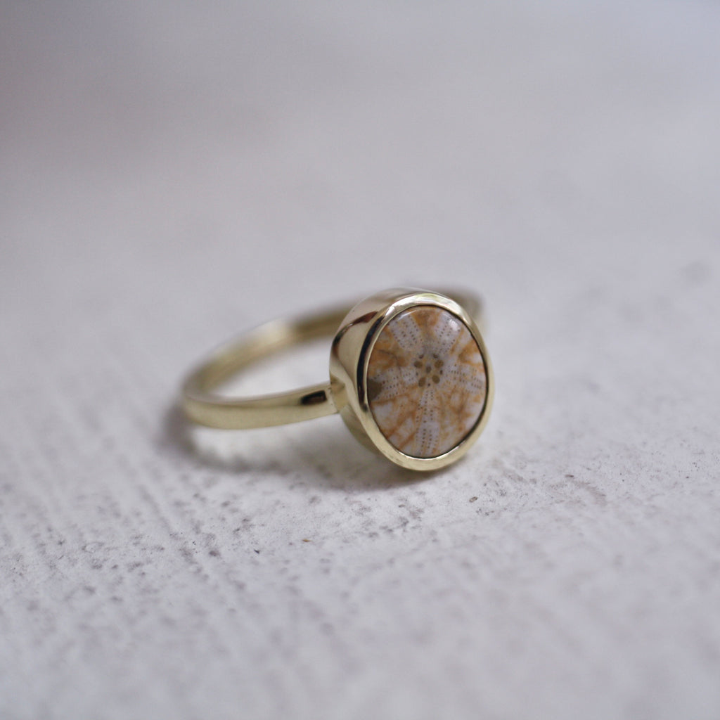 9ct Yellow Gold Fossilised Pansy Shell Ring (Edition 3)