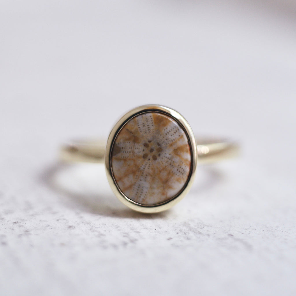 9ct Yellow Gold Fossilised Pansy Shell Ring (Edition 3)