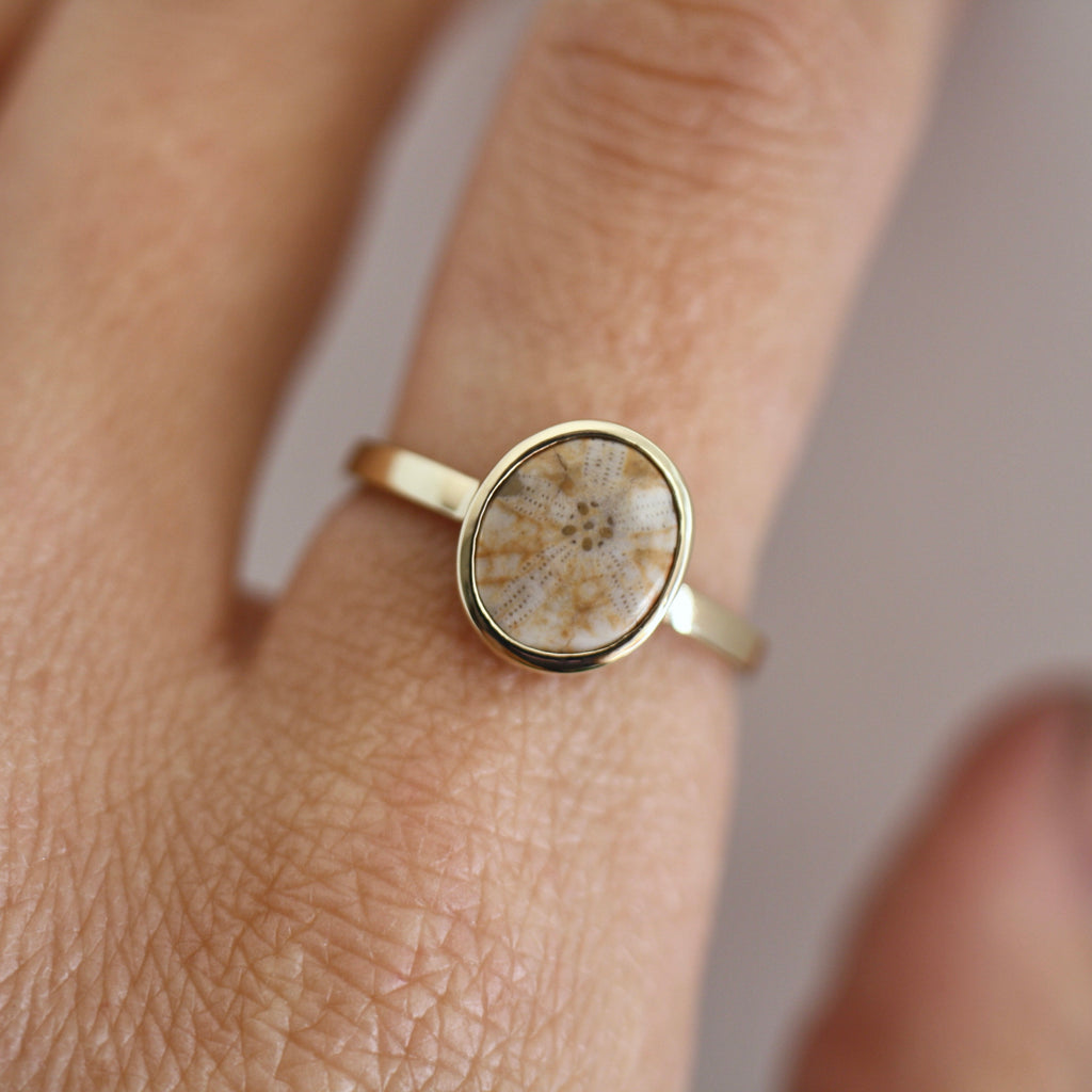 9ct Yellow Gold Fossilised Pansy Shell Ring (Edition 3)