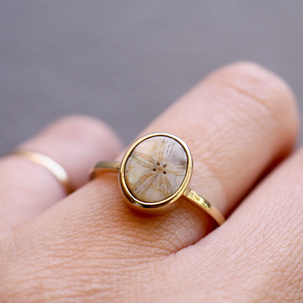9ct Yellow Gold Fossilised Pansy Shell Ring